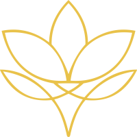 Dazzle logo Lotus 03